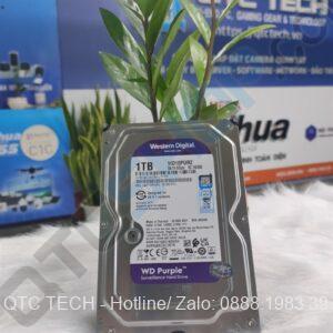 HDD 1TB Western Digital WD10PURZ (Purple)